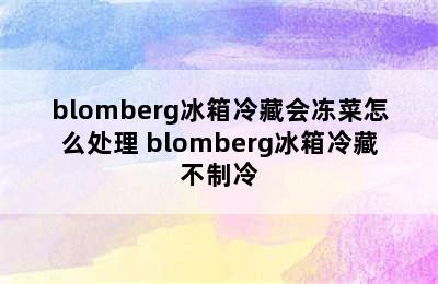 blomberg冰箱冷藏会冻菜怎么处理 blomberg冰箱冷藏不制冷